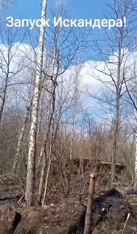 #ВэтотДень 