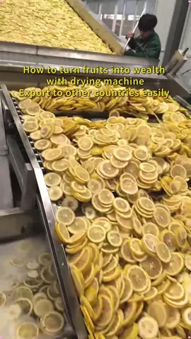 #fruit #fruits save your fruits business #dryingmachine #fruitdryer #vegetabledryer #foodprocessing #equipment #machine automatic fruits cleaning slicing drying packaging processing equipment #dryermachine #fyp #fouryou #fypppppppppppppp 