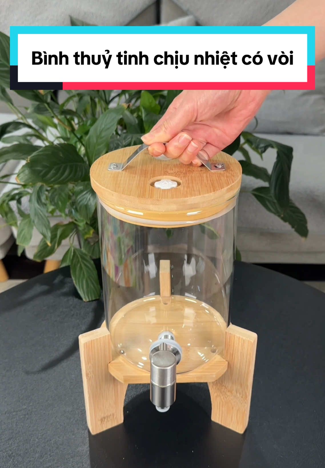 Bình thuỷ tinh cao cấp chịu nhiệt vòi inox đế gỗ  #binhthuytinh #binhthuytinhcaocap #binhthuytinhcovoi #binhthuytinhdego #binhthuytinhdep #binhthuytinhngamhoaqua #binhngamruouthuytinh #binhngam #thao2mai 