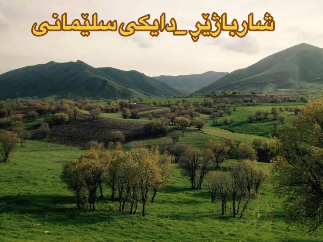 #sulaimania 