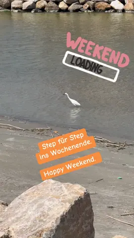 Step für Step in das nahende Wochenende. ☀️😎#reels__tiktok #reel #spain #shorts #tik_tok #tiktokviral #fyp #fun #bird #birds #nature #sea