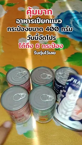 อาหารเปียกแมว FRANC 6กระป๋อง #อาหารเปียก #อาหารเปียกแมว #อาหารเเมว #อาหารเเมวไม่เค็ม #ส่งฟรีเก็บปลายทาง 