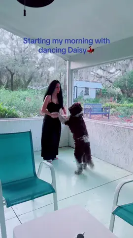 #goldenretriever #fyp #goldendoodle #puppy #dance 