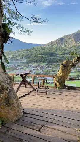 Selamat pagi pohonsurga cm🍃🍃🍃🍃🏕️.. . . . .#pohonsurgacamp #desapinggan #balikintamani #balivibes #trending #kintamani #fypシ #balikintamanibangli 