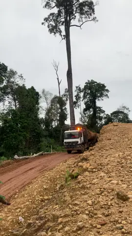 #actros4043 #loggingkalimantan 