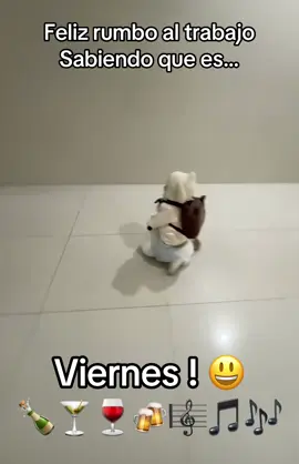 #enjoy #enjoylife #vivelavida #sonrie #friday #mood #viernes #😁😁😁 