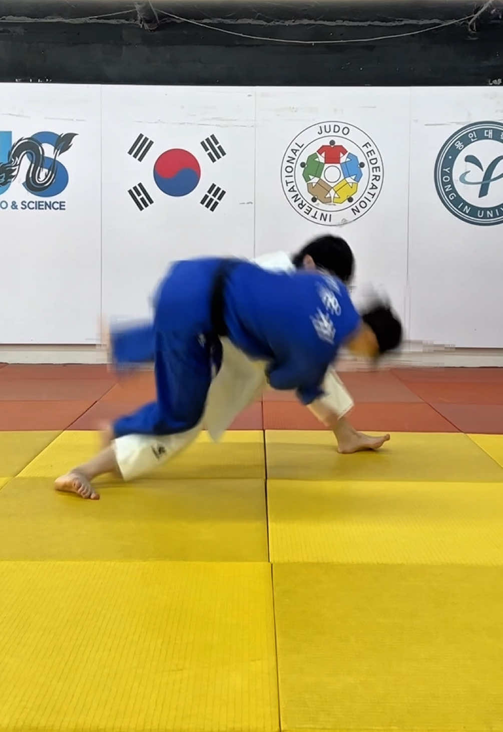 투스텝 소매 빗당겨치기 가능? / Two step Sode-tai-otoshi🤩 #용용용 #추천 #fyp #유도 #judo #틱톡스포츠 #운동 #sports #judoka #주짓수 #bjj #comedy 