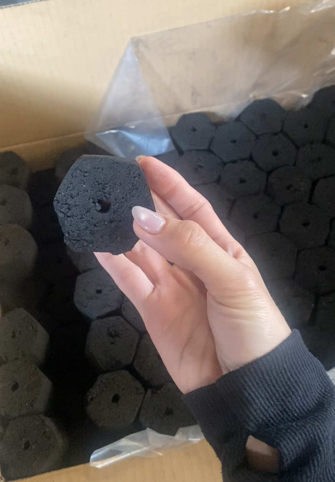 #xuhuongtiktok #thang4 #dừa #than #thannuongkhongkhoi #71bentre_xinchao🌴 #thangaodua 