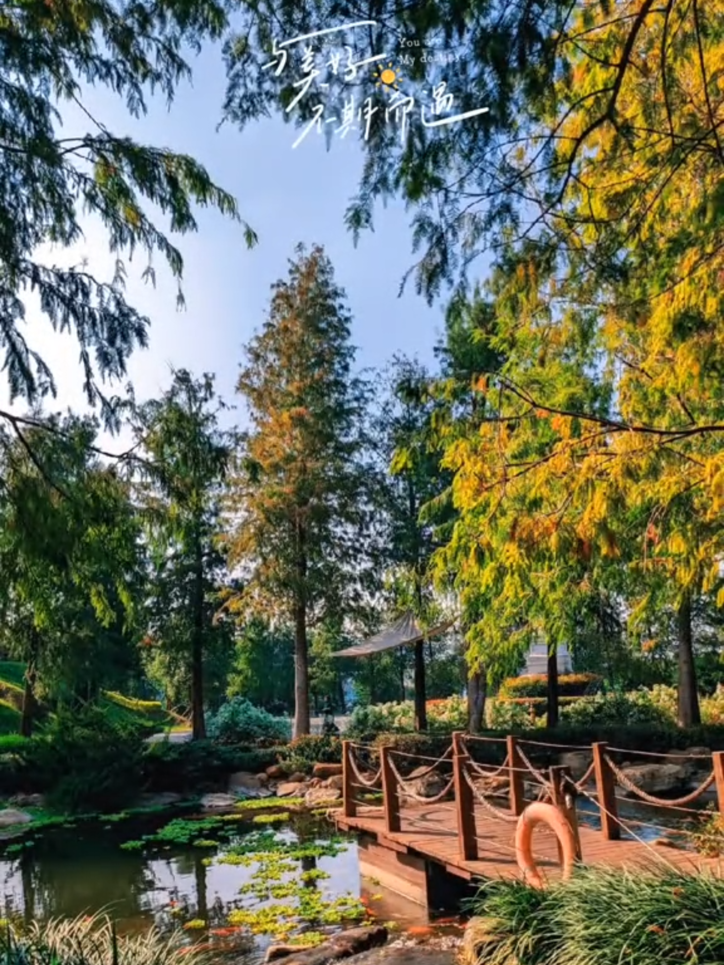 善良和真心要留給值得的人。#上熱門 #旅行vlog #把握當下 #人生感悟 #春天 