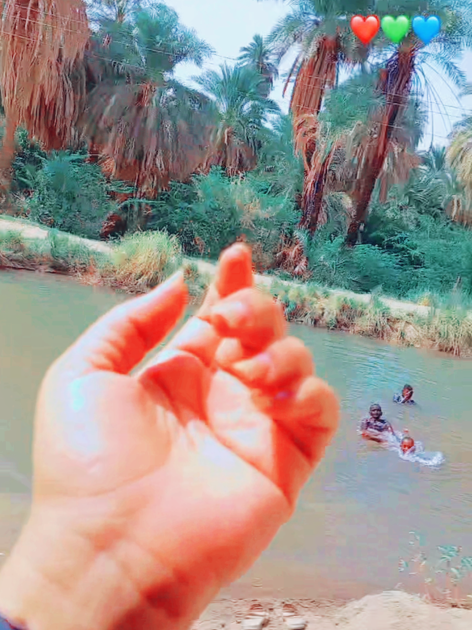 #الولاية_الشماليه_شمالناااا💕💕  #بديرية_دهمشية 