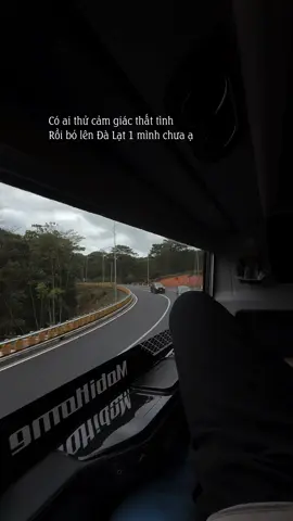 Ta nói nó lạnh mà nó cô đơn #dalat #reviewdalat #chill #sad #tamtrang 