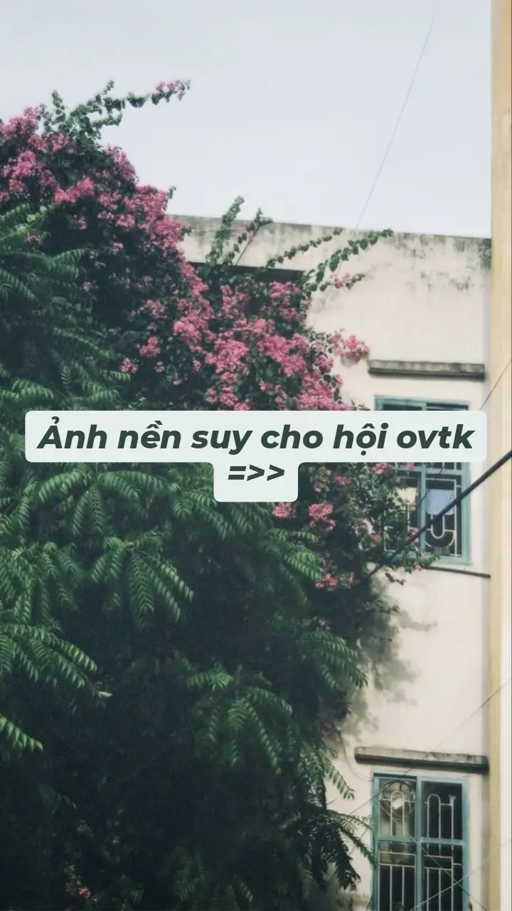 iu cac bann #hinhnen #tamtrang #Meii_iu🌱 