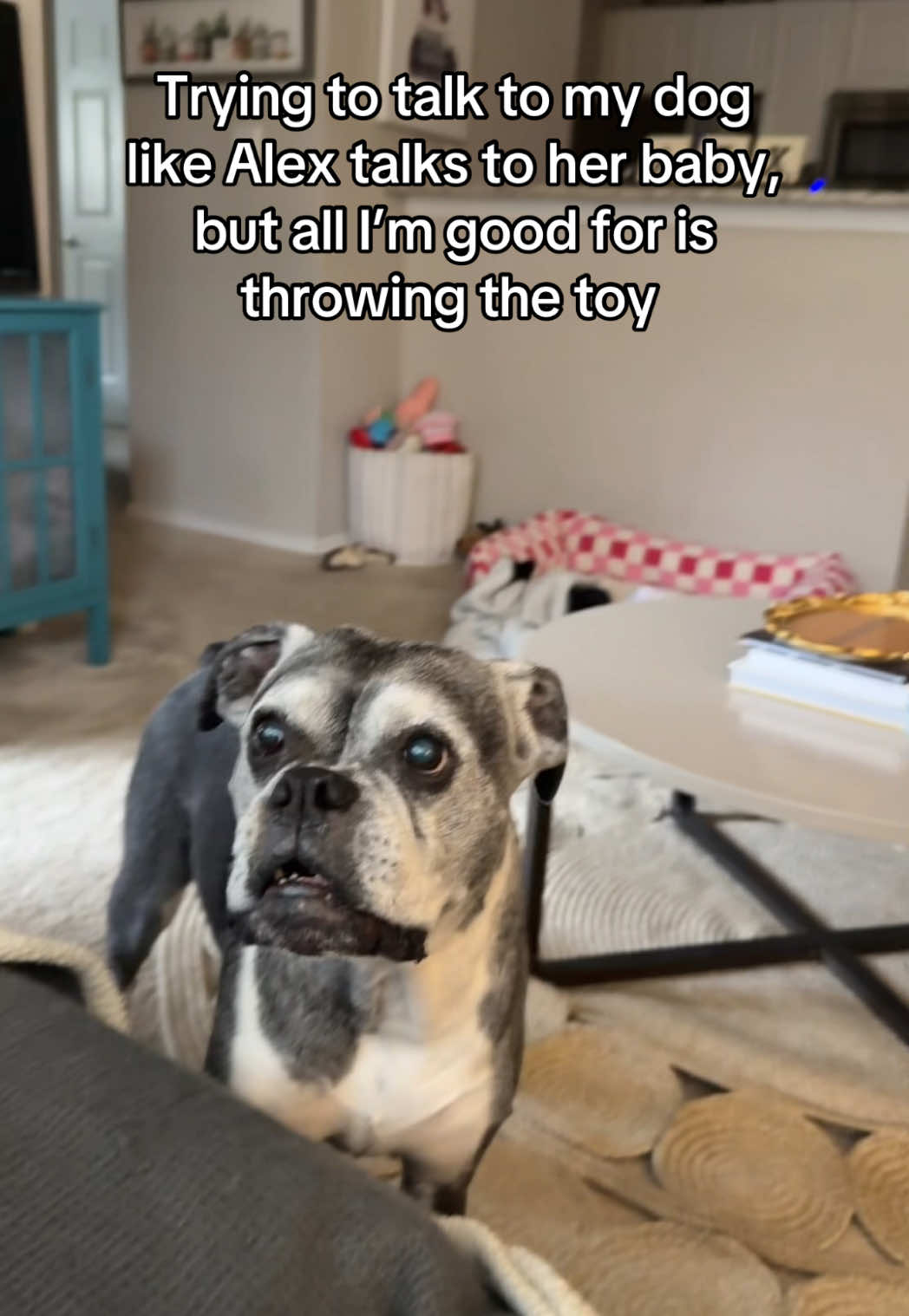 The way I said one sentence and she left to get a toy??? #boxerdog #babytalk 