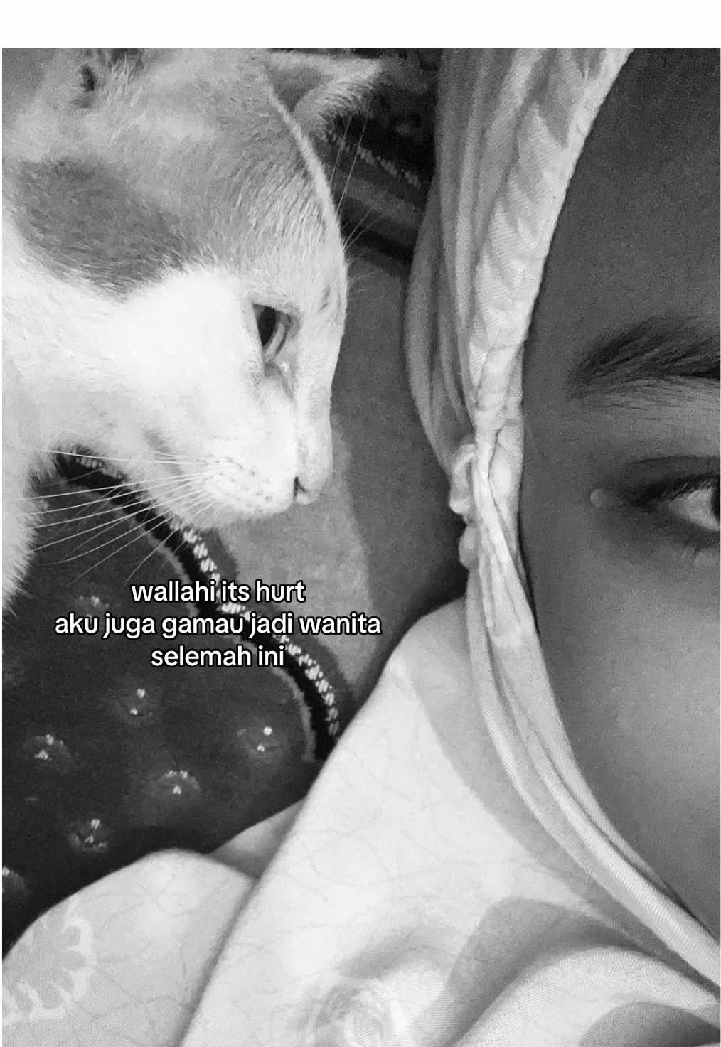 #fyppppppppppppppppppppppp #masukberanda #lewatberanda #4u #fyppdongggggg #fypage #foryoupage #kucing 