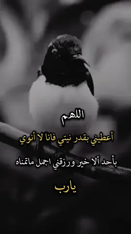 يارب #عبارات_جميلة_وقويه😉🖤 #عبارات #عباراتكم_الفخمه🦋🖤🖇 