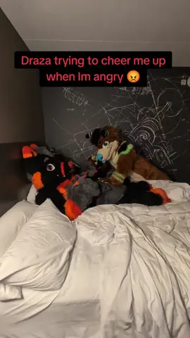 I promise I'm not this mean 😭  #furrytrash #furryfandom #wolffursuit #wolf #furriesareawesome #furriesoftiktok #fur #furtok #fursuit #furry #furrys #wolftok #drazathewolf #mcfc #mcfc2025 #mcfc25 #motorcityfurrycon #courage #couragethecowardlydog 