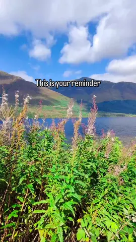 During the summer in Scotland, heather blooms all throughout the highlands , making the mountains appear purple. The best time to see the purple hills in Scotland is August, heather’s peak bloom season.  There is something really magical about driving through the Scottish Highlands and seeing the sheep and cows grazing against a purple mountainside. 💜 Who’s booking their ticket? 🪻 #scottishhighlands #Scotland  #purplemountains #flowers #travelinspiration #travelcontentcreator #scotlandtiktok #naturalbeauty #traveltiktok #travelinspiration 