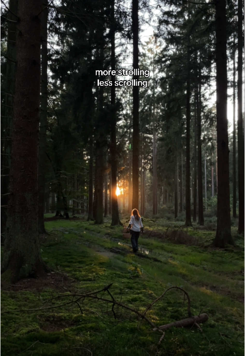 walkies >>>>>>> #nature #calm #forest #slowliving #natureaesthetic #strolling 