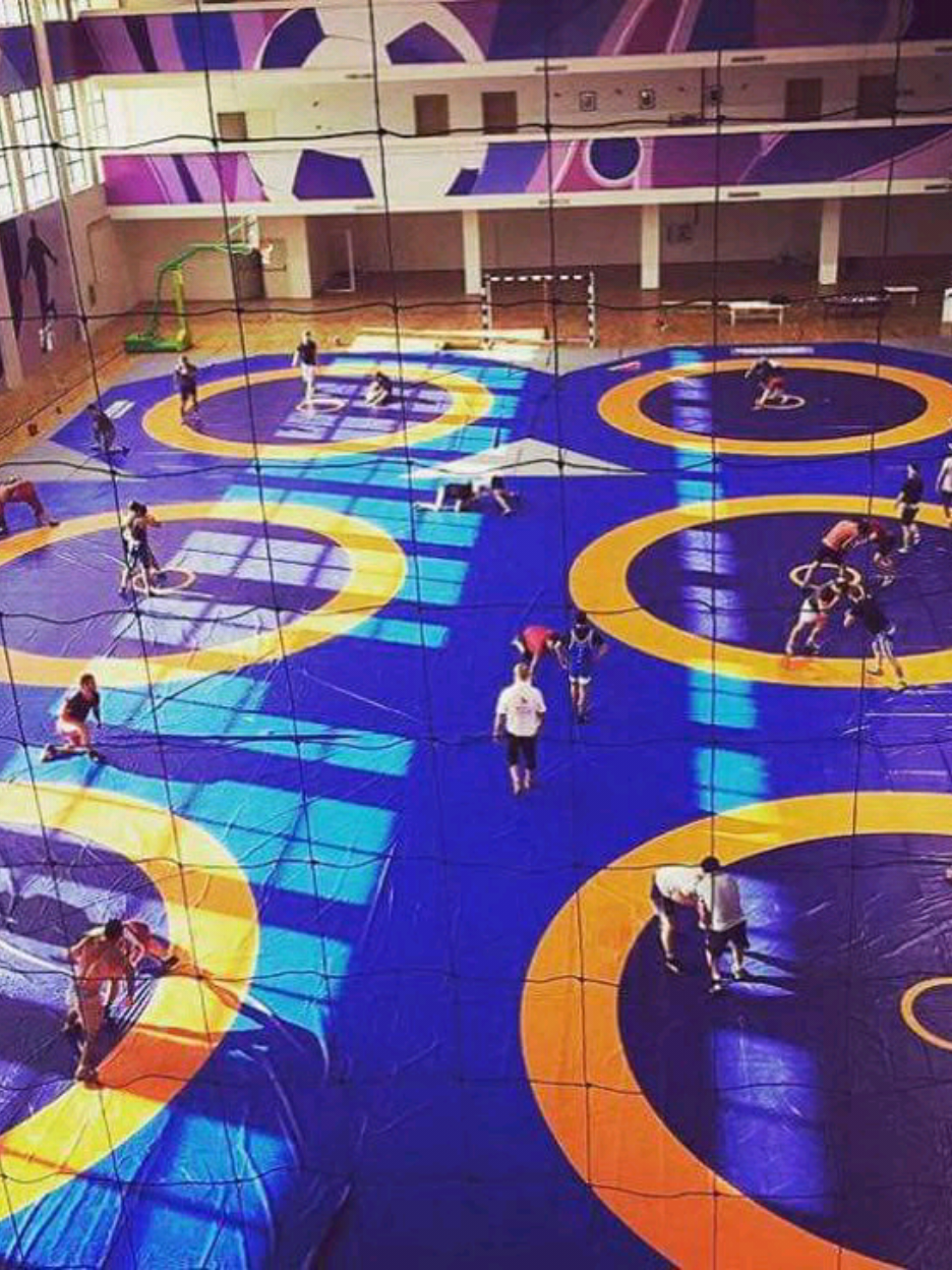 Shadow wrestling pt.2 🇺🇸🇨🇦🇮🇶🇮🇷🇮🇳🇷🇺🇹🇷🇩🇿 #lutte #kushti #مصارعة #güreş 