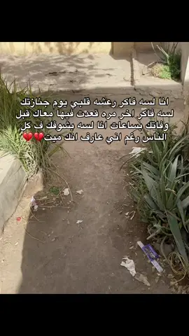 4/4/2024 عدي علي فراقك سنه يحبيبي ربنا يرحمك ويغفرلك❤️‍🩹#foryou #fypシ゚ #viral #foryoupage #explore #tik_tok #fayyyyyyyyyyyyyyyyyyyyyyyyyyyyyyyy  