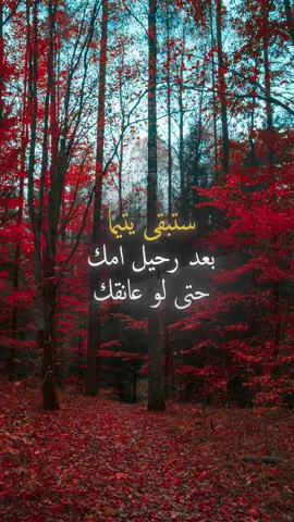 ستبقى يتيما بعد رحيل امك حتى لو عانقك العالم باسره #حكمة #خواطر #اكسبلور #علم_النفس #تطوير_الذات #كلام_من_ذهب #اطمئن #اقتباسات_عبارات_خواطر #تحفيزات_إيجابية #explore #viral_video #psychology #motivation #fyp #اقتباسات