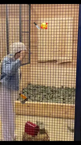 🥰🥰