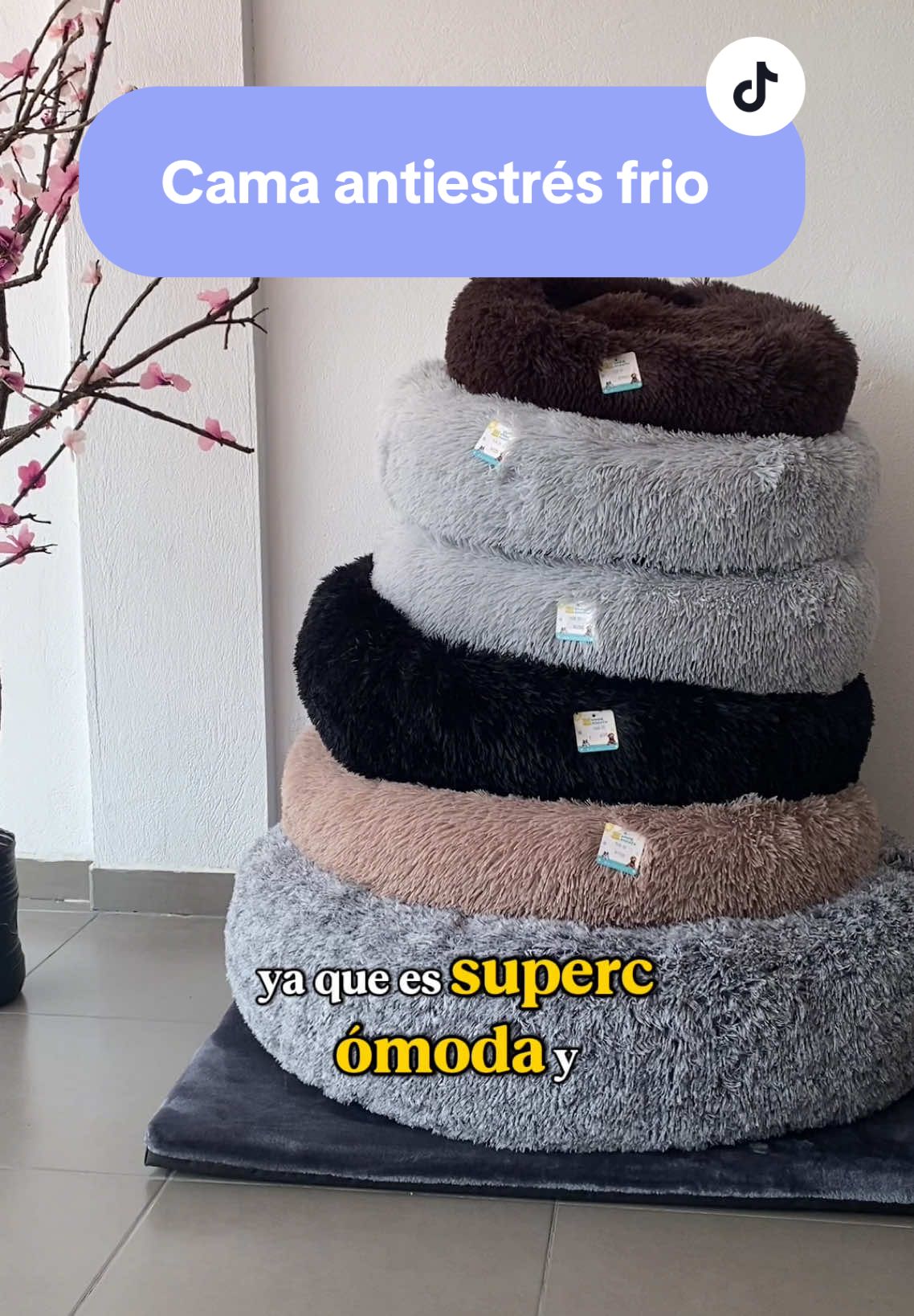 Cama antiestrés cálida para tus peluditos 🥹🐶🐈‍⬛🫶🏻 #cama #camaantiestres #camamascotas #camaperro #camagato #camaparafrio #frioecuador #frioquito #petshop #dogs #catlover 