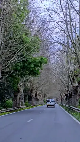 📍Bejaia  #algeria #🇩🇿 #naturaleza #nature #naturevibes 