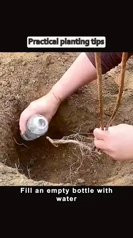 practical life hacks#life #lifetips #lifehacks #fyp #viral #tips 