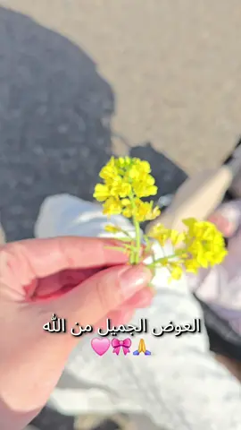 #iraqtiktok #بنتي_حبيبت_امها😻💕 #فيديوهات_منوعة #عمرييييي🧸🧿♥️ #قولوا_ماشاء_الله #ماشاءالله_تبارك_الله🧿❤️ #اكسبلورexplore❥🕊 #الملكة #وردة #اجمل_عطايا_ربي💙🧿💙👶🏼 #بيبي👼🏻💙 #بنوتي_طفلتي_صغيرتي_مدللتي♡ #كان_حلمي_وردة #بنوتي_الصغيرة 
