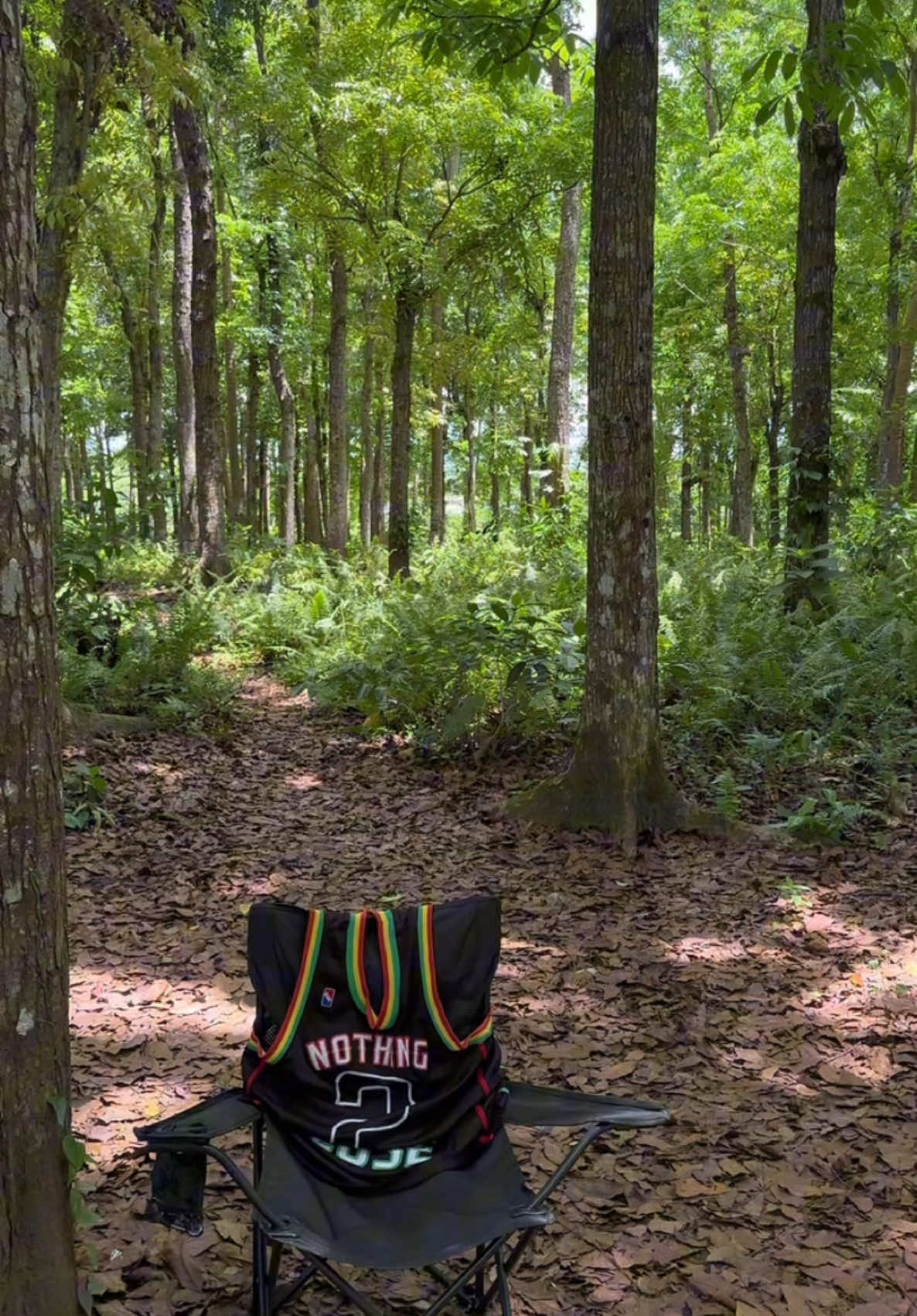 pang day nyo g🍃#fyppppppppppppppppppppppp #fyp #Lifestyle #nature 