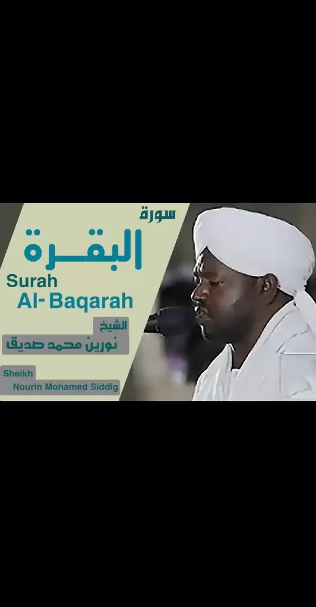 #تيك_توك_السعودية #