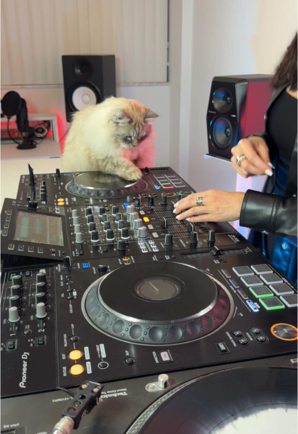 Going b2b with Moby! New Escape Radio is out now!  #dj #cat #trending #mixing 