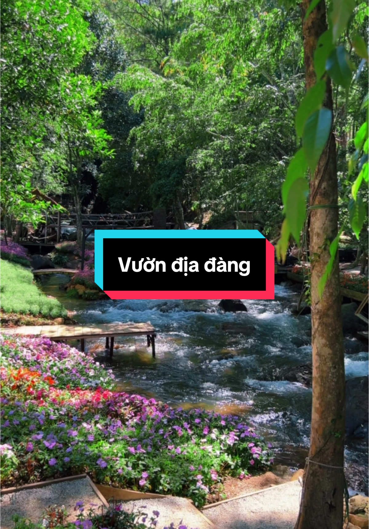 Giờ này mà được ngồi bên suối chill chill uống ly cà phê thì còn gì bằng các bạn nhỉ 🥰 📍 Vườn Địa Đàng  #dalatreviewtravel #latnoitravel #vuondiadang 