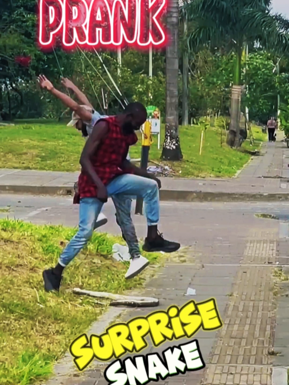 Prank: Surprise Snake #prankvideo #comedia #pegadinha #viralvideos 