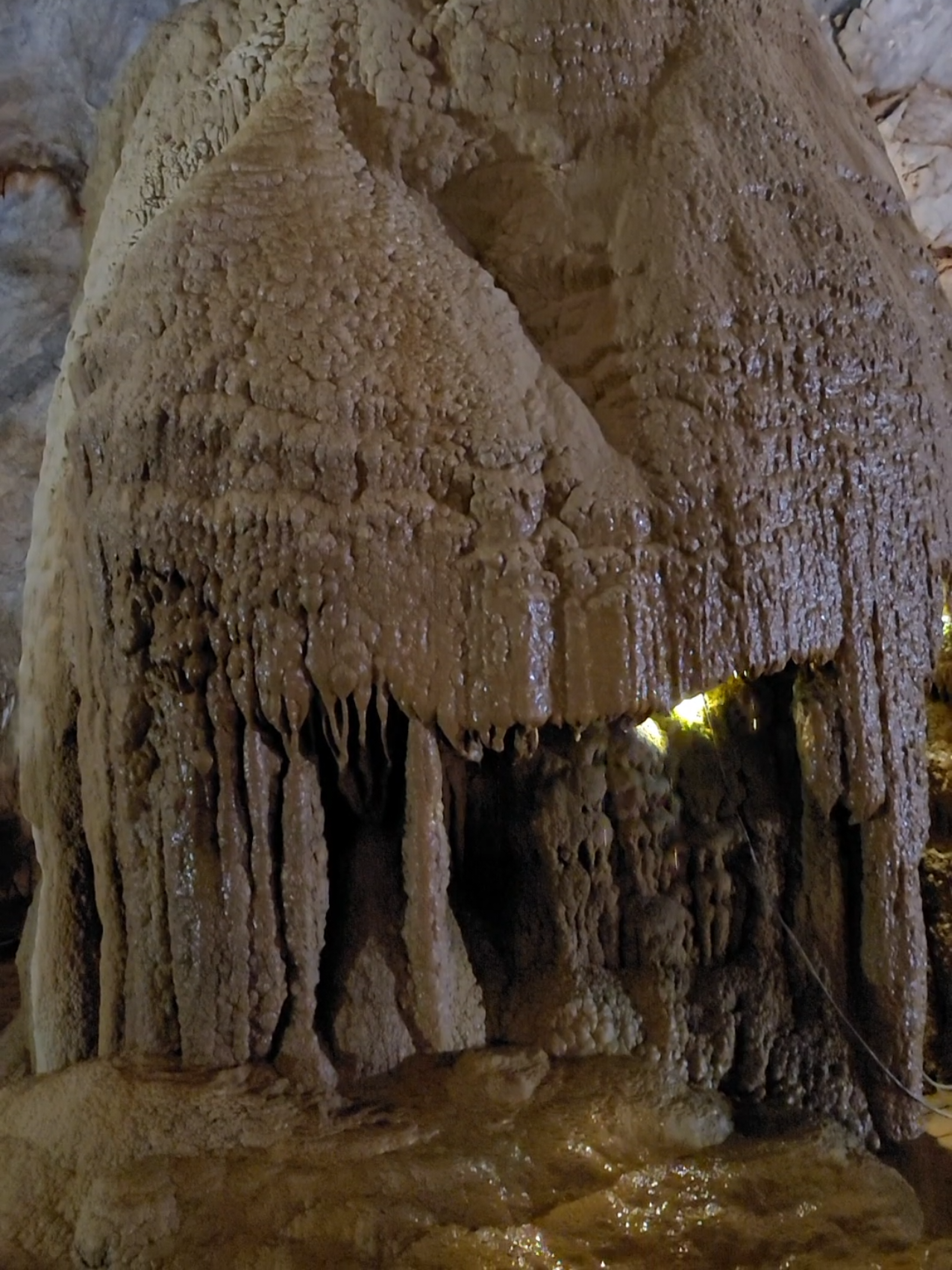 Thạch nhũ trong hang động đá vôi được hình thành như thế nào? #phongnha #phongnhakebang #quangbinh 