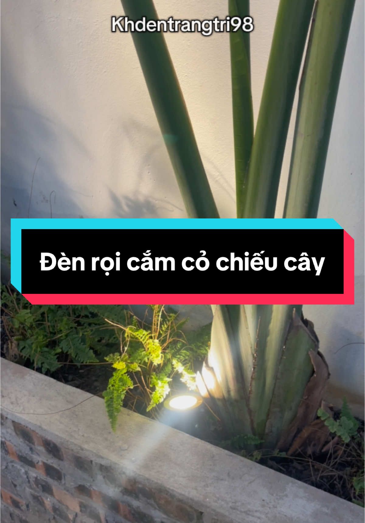 Đèn rọi cắm cỏ chiếu gốc cây decor #xuhuong #decor #dentrangtri #denroi #denroicay #khdentrangtri98 