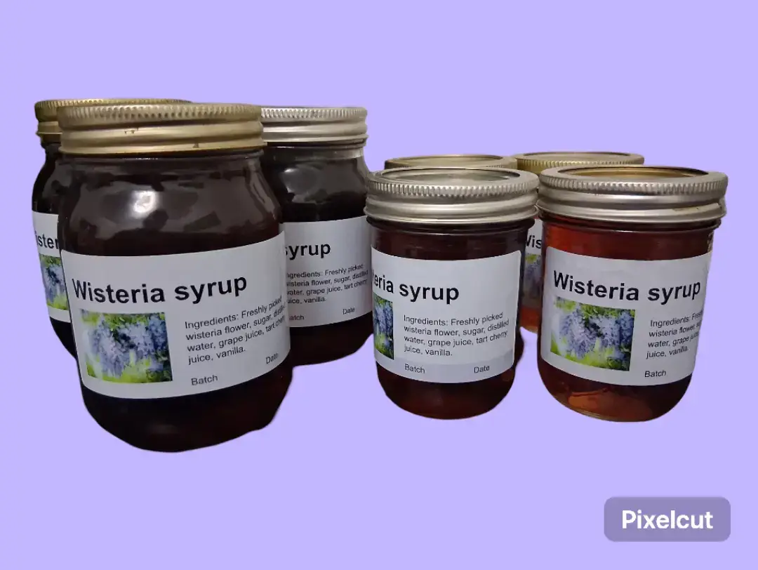 Sweet and nutty, perfect for pancakes. limited Edition.  https://herbmeds.etsy.com #wisteria #herbalist #medicinalherbs #handmade #creatorsinsights #herbalism #herbalistoftiktok #jelly #jam #syrup 