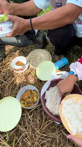 Healingna ka sawah #pesawahan #sawah #sunda #lagusunda #garut #pyfツ 