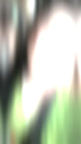 #CapCut 