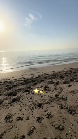 #fyp #varil #foryou #اسطبل_جوهره #Ha #لاتحدونه#foryou #نجم #خيل_وخياله🐎 #كانتر #نجم 