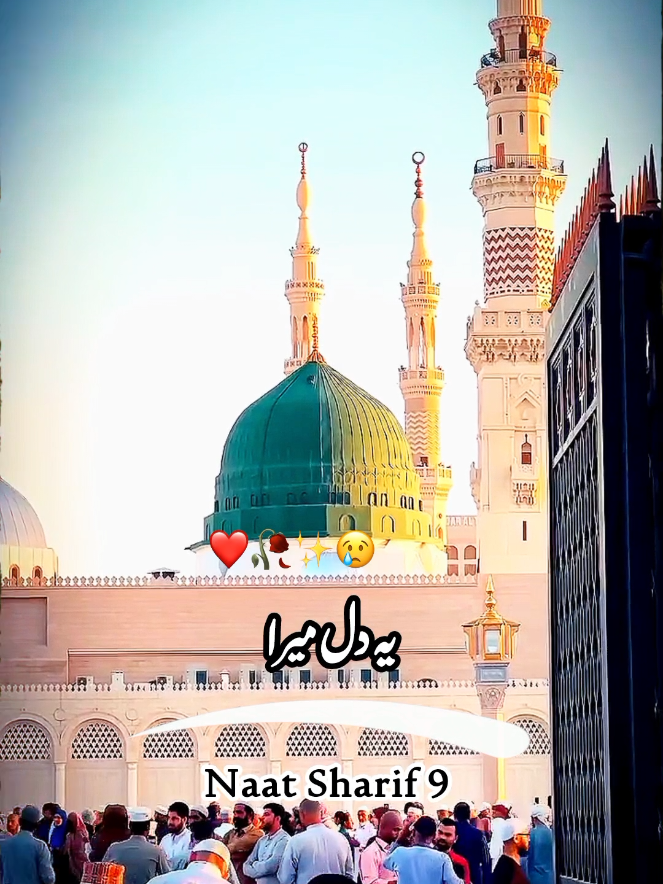 Trapta Hayn Yah Dil Mera Tarasti Hayn Mere Aankhen Naat Sharif ❤️🥀✨😢#naat #naatsharif #naatstatus #1millionaudition #500kviews #100k #islamic #islamicvideo #islamicvideoviral #viralvideo #islamiccontent #naatsharif9 #foryou #foryoupag #foryoupagofficiall 