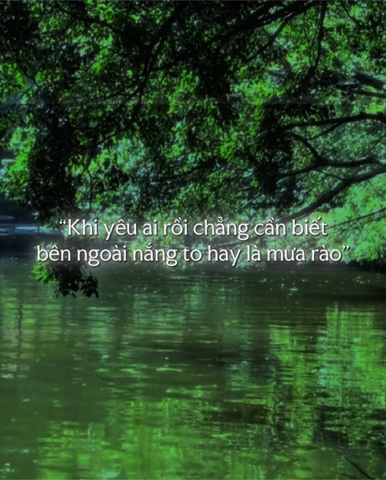 “Khi yêu ai rồi” #nguytoan #xh #nhachaymoingay 