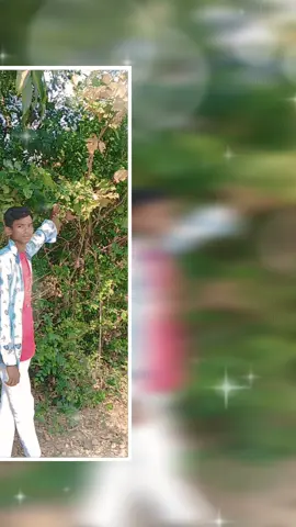 @TikTok Bangladesh @TikTok @TikTokShop_TH 