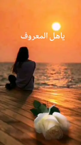 #ياهل المعروف#شبح بيشه#اغاني#طرب_ياهل المعروف_شبح بيشه