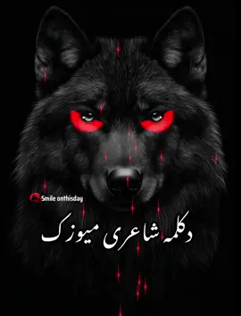 ساز غمگین برای دکلمه شاعری 💔 #دکلمه #شاعر #دکلمه_غمگین #viral_video #Music_ #background #Music_ #pashtopoetry #afghanistan #panjabi #panjabipoetry #pashtoon #pti #imrankhan #standoutwithrealmec35 #ghazal #foruyou #forupage  @💫⚜️Smile onthisday⚜️💫 