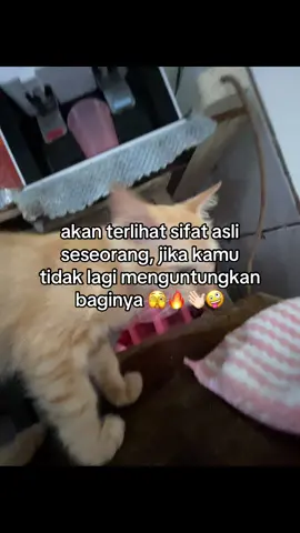 alergi konco musiman mack🫣.                #fypppppppppppppppppppp#surabaya24jam #4u #lewatberanda #tiktok?pelit?fyp 