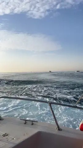 #CapCut #اكسبلورررر #fyp 🥲🌊