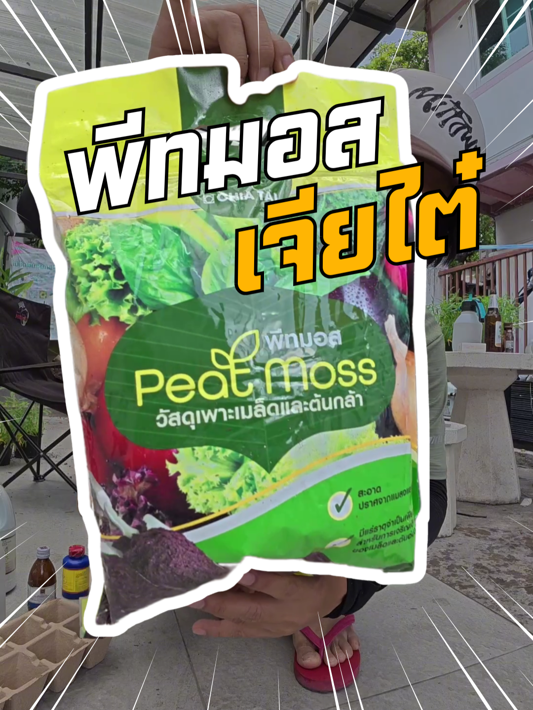 พีทมอสเจียไต๋ พร้อมของแถม #พีทมอสเจียไต๋ #เจียไต๋พีทมอส