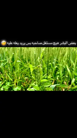 ممكن متابعه 🤕#تصويري📸 #لايك__explore___ #fyp #viral 